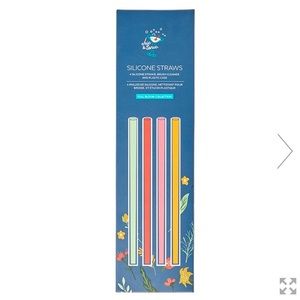 Set of 4 Silicone Straws Brush Cleaner & Case